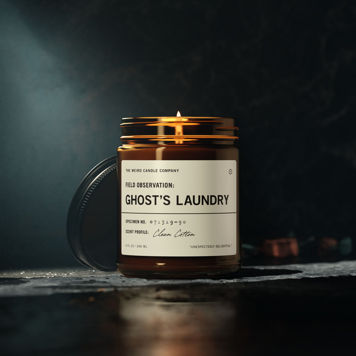 GHOST'S LAUNDRY